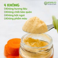 Bột nêm Anpaso (6m+)