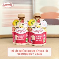Hoa quả nghiền hữu cơ BabyBio 90g (6m+)