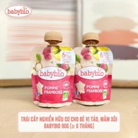 Hoa quả nghiền hữu cơ BabyBio 90g (6m+)