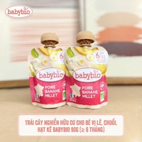 Hoa quả nghiền hữu cơ BabyBio 90g (6m+)