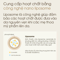 Kem chống rạn thuần chay Atono2 200ml