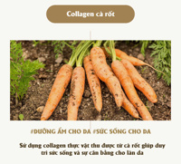 Kem chống rạn thuần chay Atono2 200ml