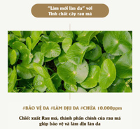 Kem chống rạn thuần chay Atono2 200ml