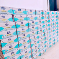 Lốc 4 hộp SPS NTF GrowPLUS A2 Beta-Casein 110ml (1y+)(Th6/24Hộp)