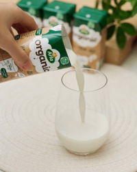 Lốc 6 hộp sữa tươi hữu cơ Arla nguyên kem 200ml (1y+) (thùng 12 hộp)