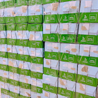 Set 3 đôi tất bèo hình size XS