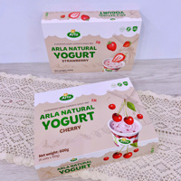 Sữa chua Arla ( 1y+)