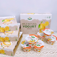 Sữa chua Arla ( 1y+)