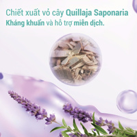 Sữa tắm Jack&Jill ngừa cảm lạnh,giúp trẻ ngủ ngon(6m+)