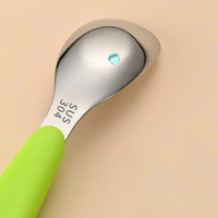 Thìa inox cán nhựa 47751
