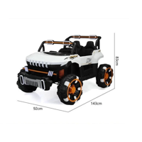 Xe ô tô điện 8688