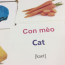 Bộ thẻ học thông minh Flash card 14 chủ đề 280 thẻ