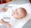  Gối chống trào ngược Babymoov