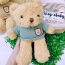 Gấu bông teddy 93430