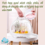 Giá úp bình phi thuyền Holla HL 15200