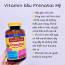 Vitamin bầu Prenatal Mỹ