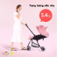 Xe đẩy Vovo 2 chiều