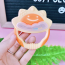 Xúc xắc gặm nướu Richell